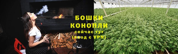 гидропоника Алзамай