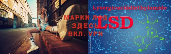 гидропоника Алзамай